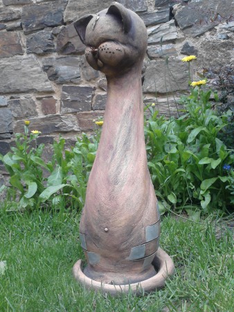 kočka 